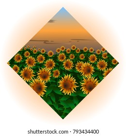 Image of a field with a sunflower in the shape of a diamond, an icon for the design of a travel agency website, for a site