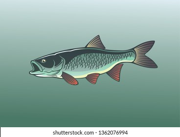 image fish chub