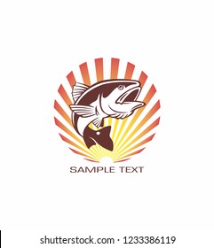 image fish drum