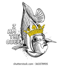 The image of the fish Emperor Angelfish with the crown. Vector illustration.