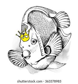 The image of the fish Queen Angelfish with the crown. Vector illustration.