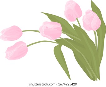 Image of five pink beautiful tulips arranged in a bouquet. spring flowers for beloved women.
stock isolated illustration on white background for printing on postcards, websites, shop advertisements
