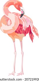 Image of a flamingo. Vector