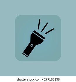 Image of flashlight in square, on pale blue background