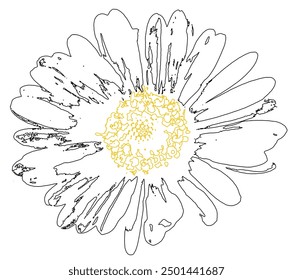 
image of a flower with black contours on a white background, vector