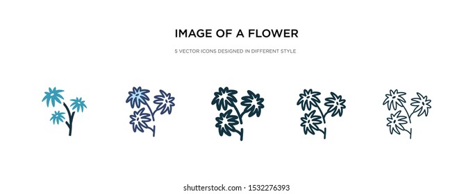 image of a flower icon in different style vector illustration. two colored and black image of a flower vector icons designed in filled, outline, line and stroke style can be used for web, mobile, ui