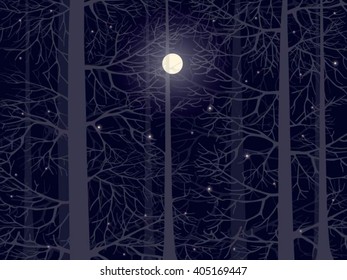 The image of forest, silhouettes of trees on a nigth background