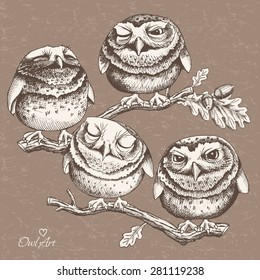 Image of a four characters little owl on a oak branch. Vector illustration.