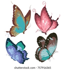 Image of four colored butterflies, vector