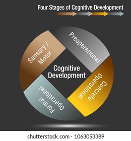 Image Four Stages Cognitive Development Chart Stock Vector (Royalty ...