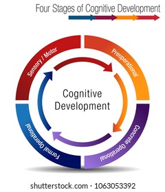 An Image Of A Four Stages Of Cognitive Development Chart.