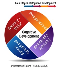 An Image Of A Four Stages Of Cognitive Development Chart.