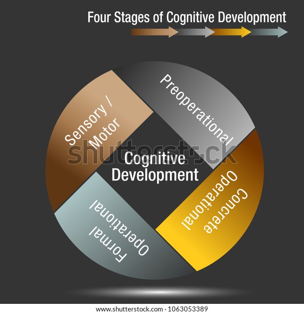 Image Four Stages Cognitive Development Chart Stock Vector (Royalty ...