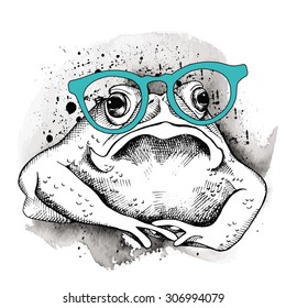 Image frog (toad) in the glasses. Vector illustration.