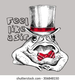 Image frog (toad) in top hat. Vector illustration.