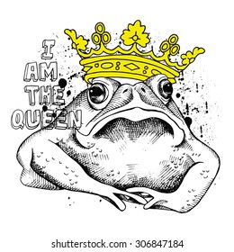 Image frog (toad) with a yellow crown. Vector illustration.