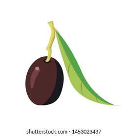 image of the fruit of the olive tree, black olives