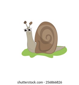 The image is fun, colorful, cute snail on green grass.