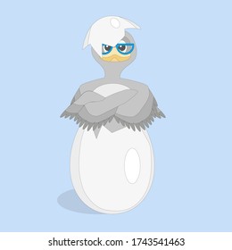 Image of a funny gray duckling hatched from an egg.
