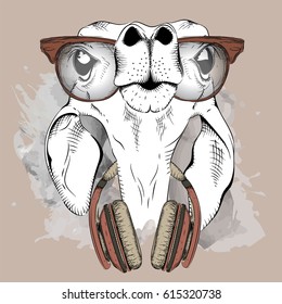 The image of a funny roe deer in the glasses and headphones. Vector illustration.