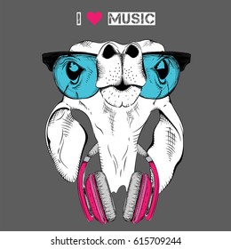 The image of a funny roe deer in the glasses and headphones. Vector illustration.