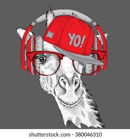 The image of the giraffe in the glasses, headphones and in hip-hop hat. Vector illustration.