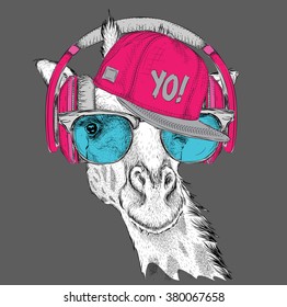 The image of the giraffe in the glasses, headphones and in hip-hop hat. Vector illustration.