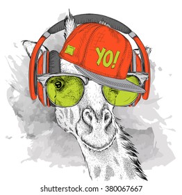The image of the giraffe in the glasses, headphones and in hip-hop hat. Vector illustration.