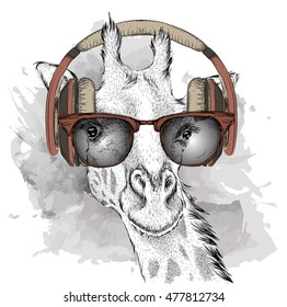 The image of a giraffe with glasses and headphones. Vector illustration.