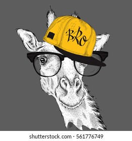The image of the giraffe in the glasses and in hip-hop hat. Vector illustration.