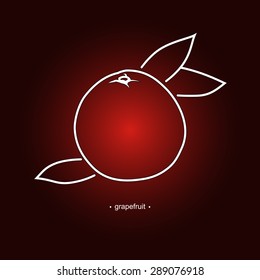 Image Grapefruit ,  Pomelo on a Dark Yellow Background, Line Style, Vector Illustration