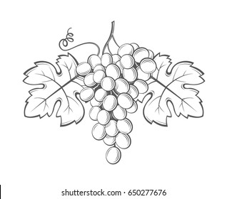 image of grapes with bunches and leaves