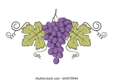 image of grapes with bunches and leaves