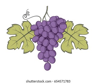 image of grapes with bunches and leaves