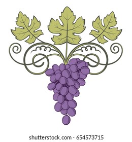 image of grapes with bunches and leaves