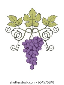 image of grapes with bunches and leaves