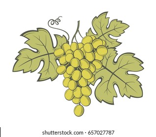 image of grapes with bunches and leaves