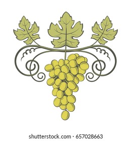image of grapes with bunches and leaves