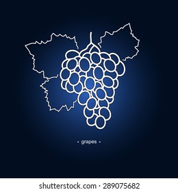 Image Grapes on a Dark Blue Background, Line Style, Vector Illustration
