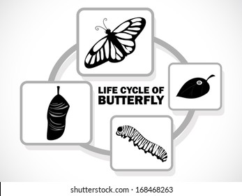 image graphic style of butterfly life cycle isolated on white background