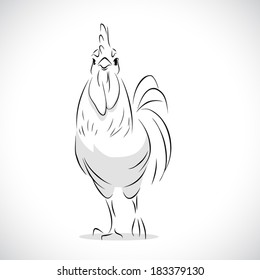 image graphic style of chicken  isolated on white background