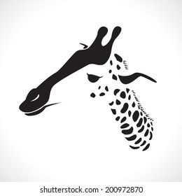 Image Graphic Style Of Giraffe  Isolated On White Background