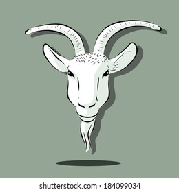 image graphic style of goat  isolated on white background