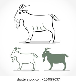 image graphic style of goat  isolated on white background