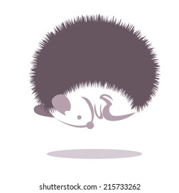 image graphic style of hedgehog isolated on white background