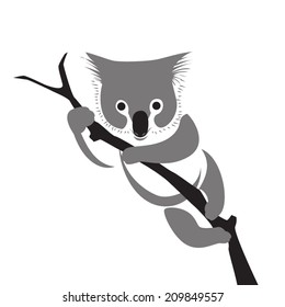 image graphic style of koala isolated on white background