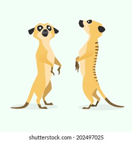 image graphic style of meerkat  isolated on white background