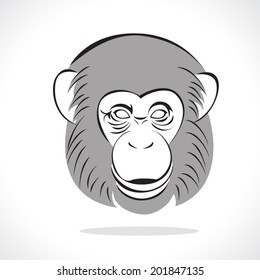 image graphic style of monkey  isolated on white background