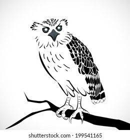 image graphic style of owl  isolated on white background