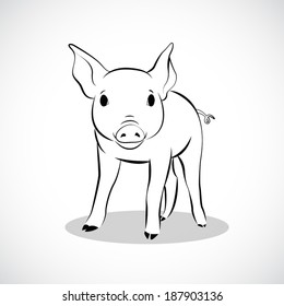 image graphic style of pig  isolated on white background